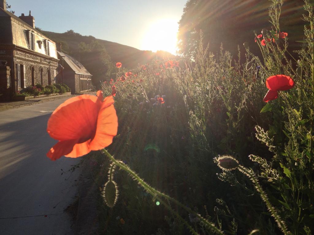 La Flore De Lys, Cottage Ideal Pour 2 Adultes Et 2 Enfants Saint-Jouin-Bruneval الغرفة الصورة