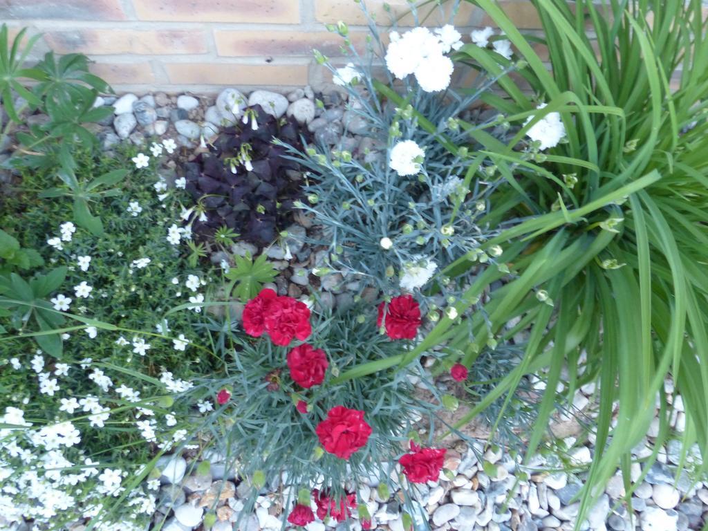La Flore De Lys, Cottage Ideal Pour 2 Adultes Et 2 Enfants Saint-Jouin-Bruneval الغرفة الصورة